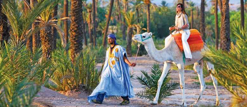 Camel Ride Full Day in Marrakech Palm Grove