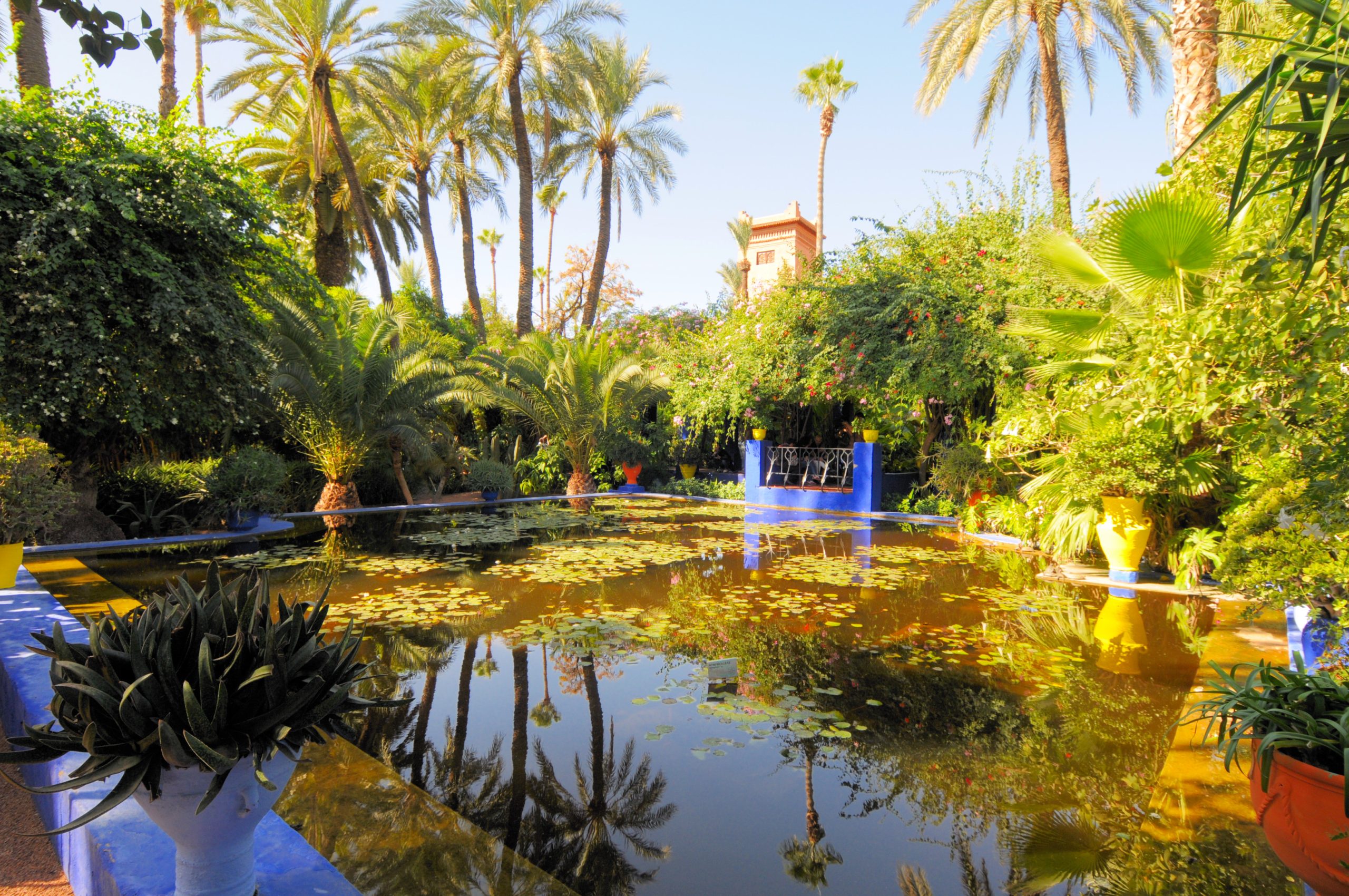 Marrakech Gardens and Ramparts Tours