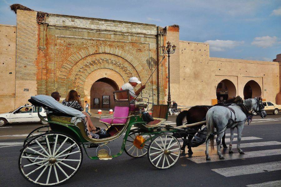 Marrakech Tours Gardens Horse Drawn Carriage