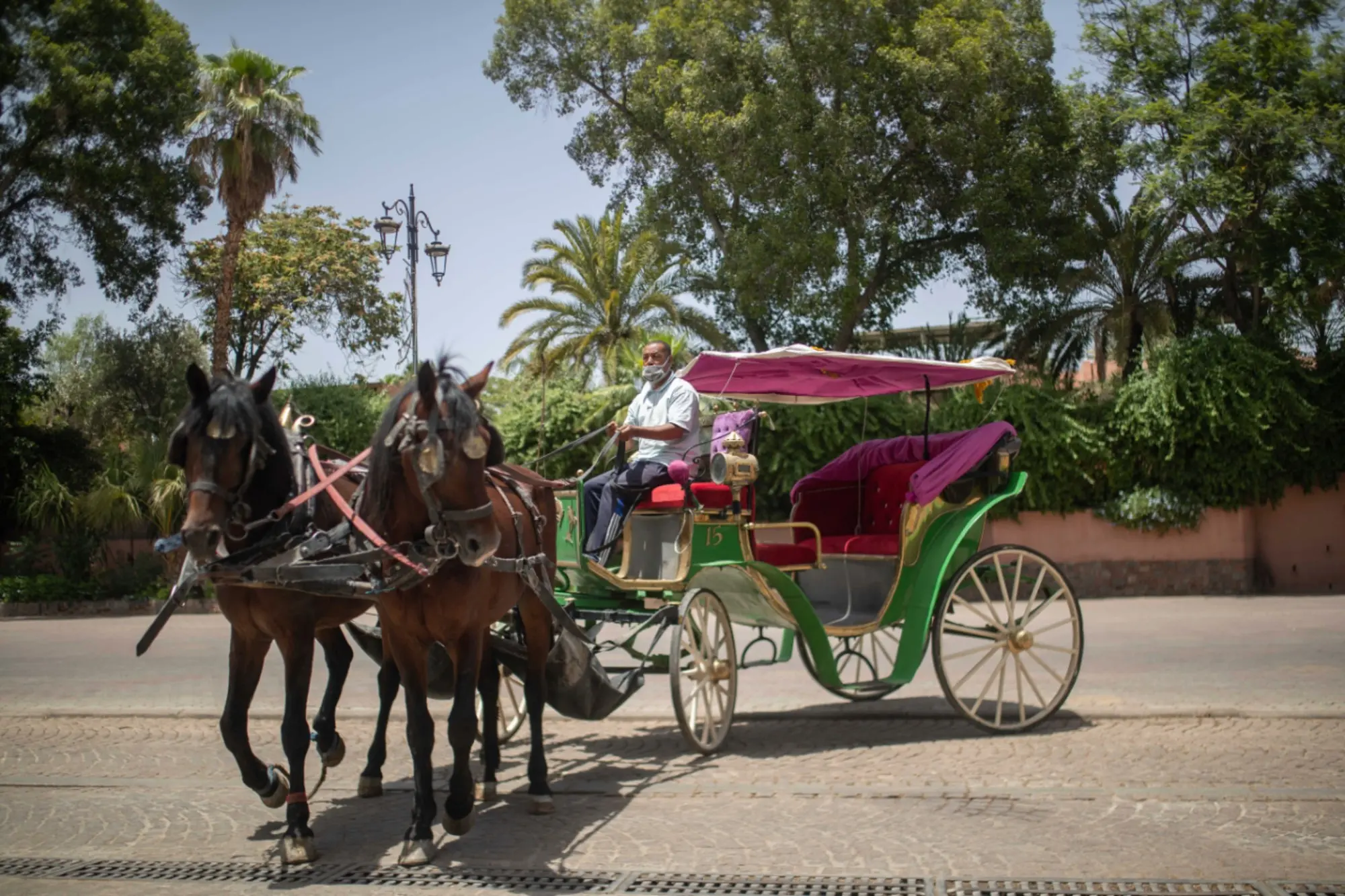 Marrakech Tours Gardens Horse Drawn Carriage
