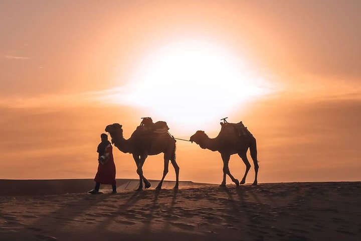 Overnight Camel Ride in Merzouga
