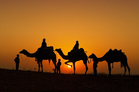 Overnight Camel Ride in Merzouga