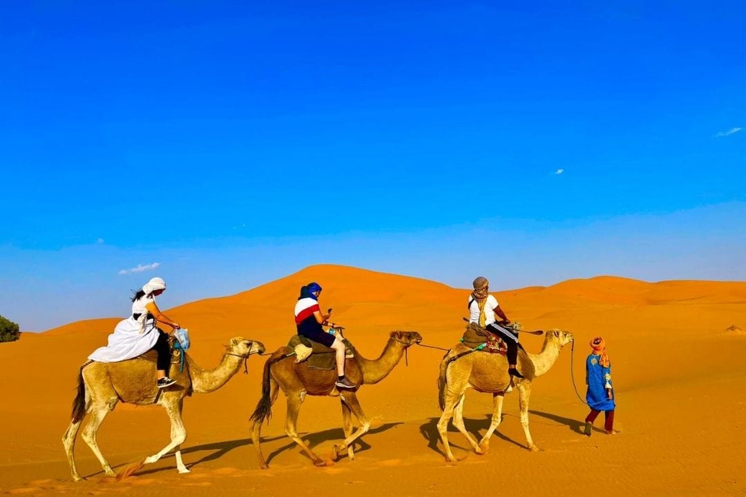 Overnight Camel Ride in Merzouga