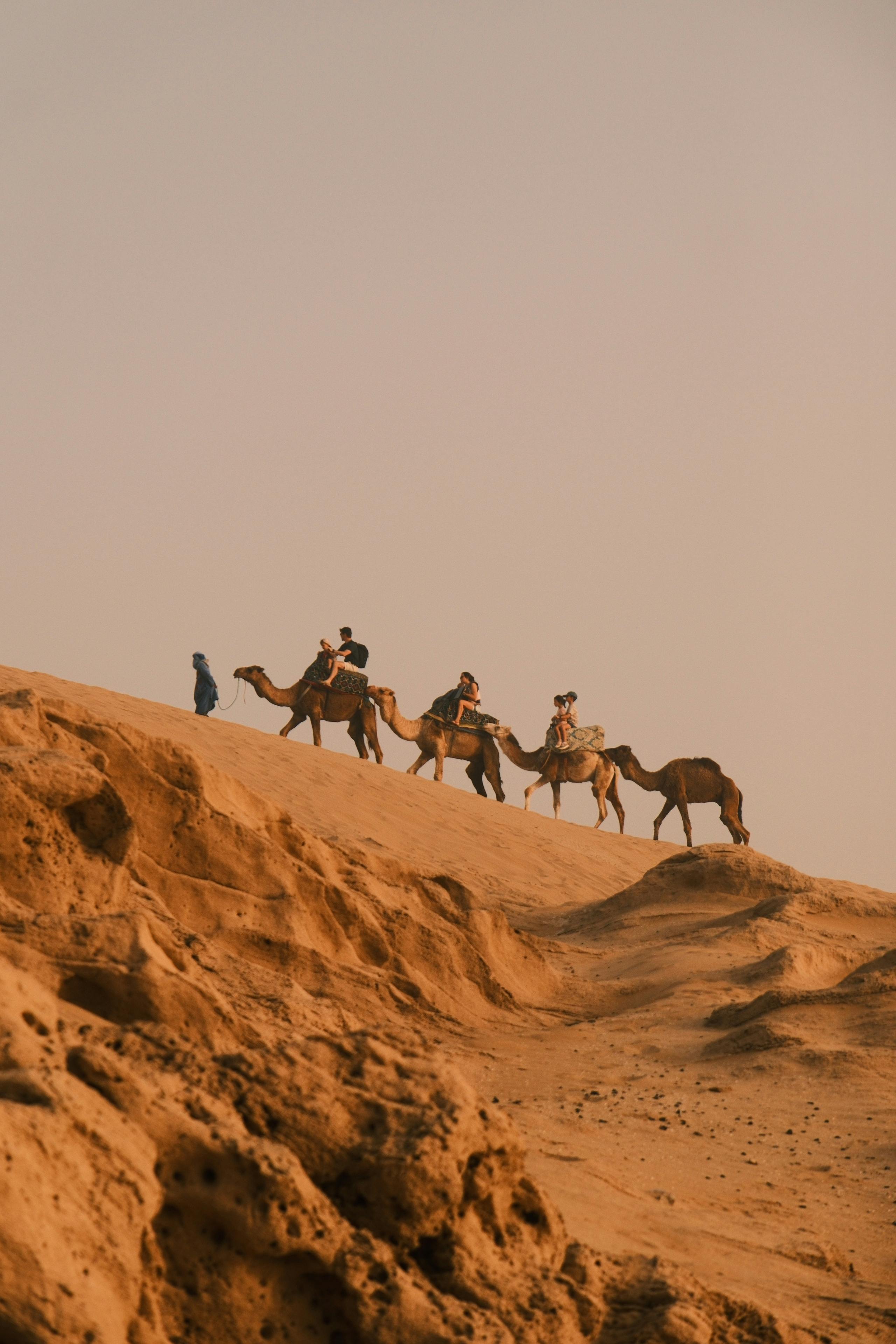 Agafay Desert Tours