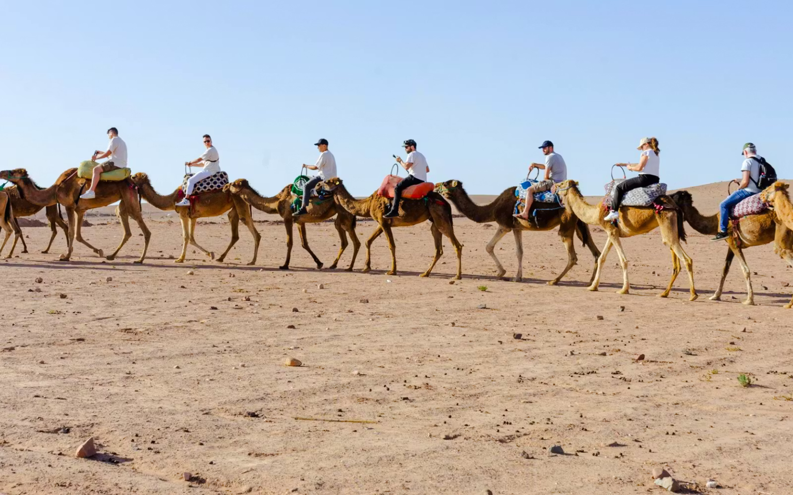 Sunset Desert Tour with Camel Ride, Dinner Show & Transfers