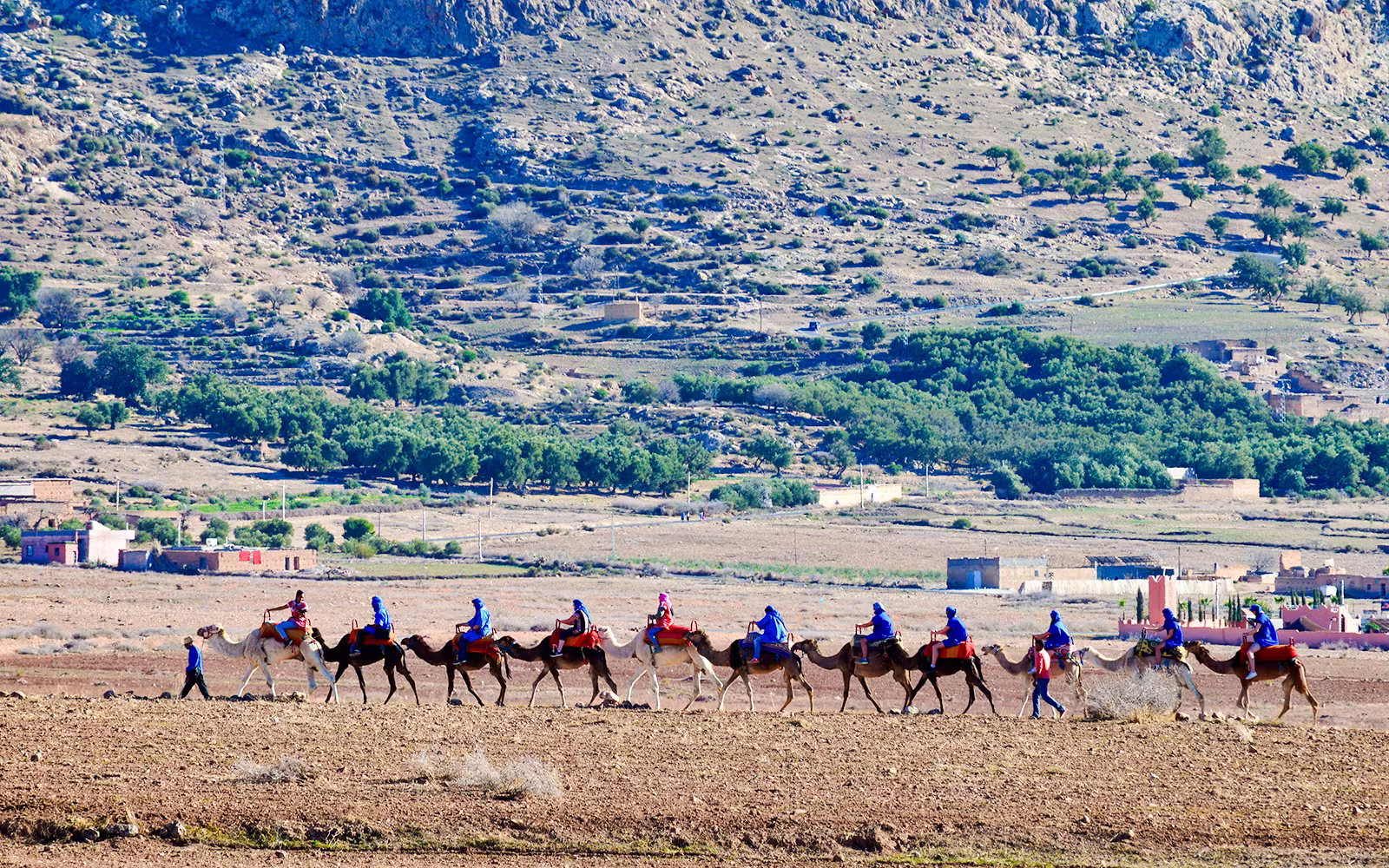 Sunset Desert Tour with Camel Ride, Dinner Show & Transfers