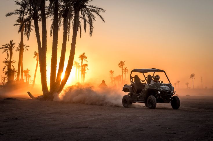 Half-Day Buggy Biking in the Palm Grove of Marrakech