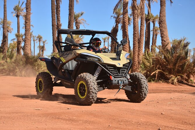 Half-Day Buggy Biking in the Palm Grove of Marrakech