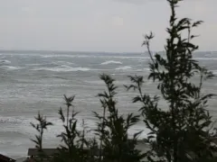 В Крыму вывезли 265 тонн загрязненного мазутом грунта