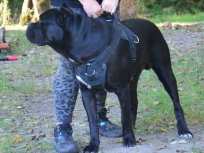 Страхование ответственности: кому и когда может пригодиться