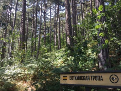 Двое подростков ночью заблудились на Боткинской тропе в Ялте