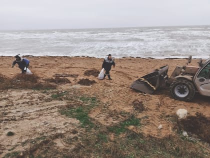 В Крыму за день не зафиксировали нового выброса мазута на берег