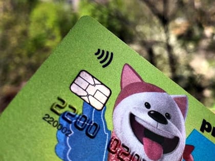 Владельцы «детских карт» РНКБ в первом квартале потратили 165 млн руб