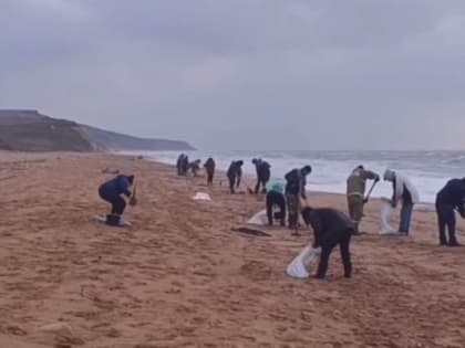 За сутки в Крыму выявили 7 фактов загрязнения побережья мазутом
