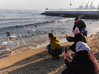 Температурные рекорды, очищение морем, переработка ёлок и другое: январь в кадрах