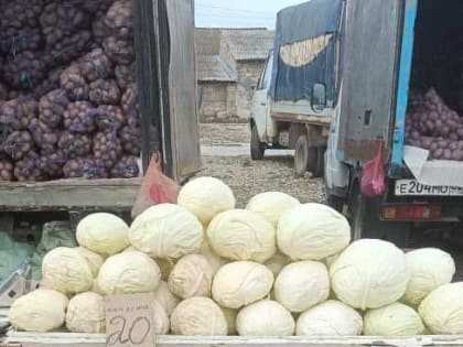 Проведен мониторинг цен на социально значимые продукты питания на ярмарках в Симферополе и Керчи