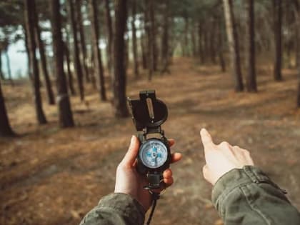 Десять человек искали в крымском лесу заблудившегося туриста