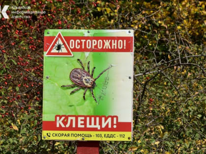 За неделю в Крыму 11 человек заразились клещевым боррелиозом