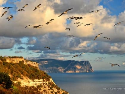 Прогноз погоды на 11 февраля: в Крыму и Севастополе днем до +5°С