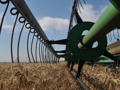 «Просели» по количеству и качеству