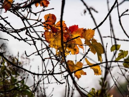 Крым во власти антициклона: прогноз погоды на вторник
