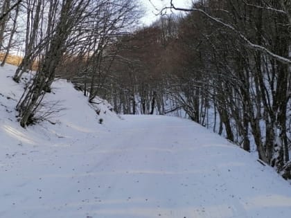 Крым увидел настоящую зиму