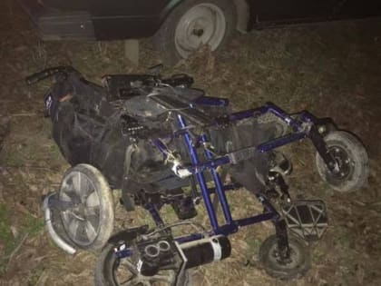 В Крыму пьяный водитель сбил семью с тремя детьми: пострадал двухлетний ребенок