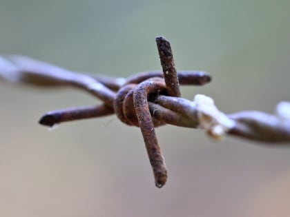 Суд признал погибшего последователя «Хизб ут-Тахрир» виновным в подготовке теракта