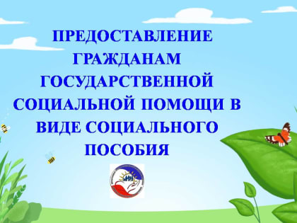 Предоставление гражданам государственной социальной помощи в виде социального пособия