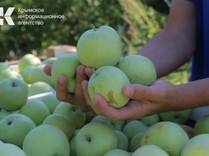 Более 2,7 тысяч рабочих мест в сельском хозяйстве планируют создать в Крыму