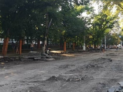 На улице А.Невского во время ремонтных работ повредили корень платана