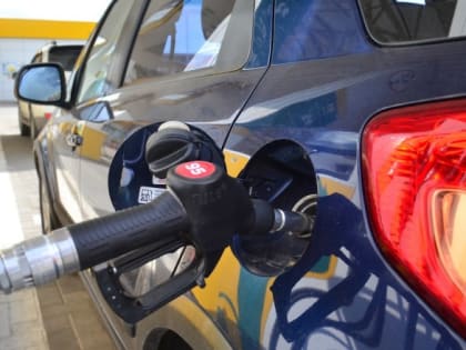 Курс укропа вырос?