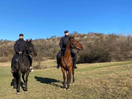 Главные новости Крыма: 22 января