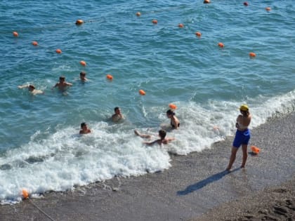 Здравствуйте, тропики!