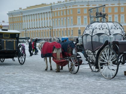 Если посол — свинья, его и надо называть свиньей