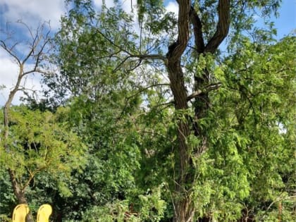 Керченский 