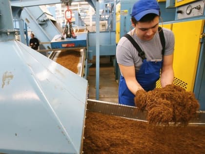 Дым отечества