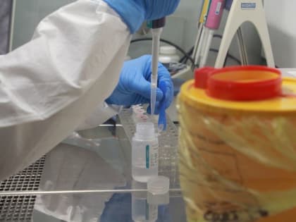 В Крыму за сутки выявили 31 новый случай COVID-19