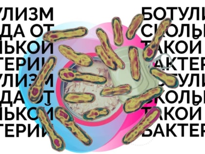 Полезная информация о профилактике ботулизма