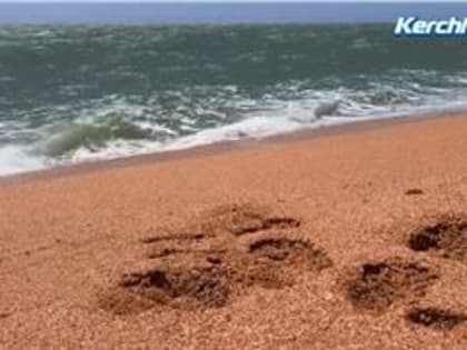 На Опуке (видео)