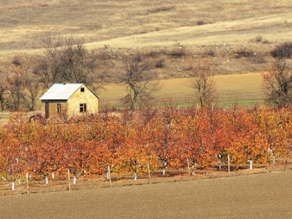Россиян обяжут готовить проектные документы на строящиеся частные дома