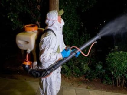 Более 20 улиц в Ялте и в округе города будут обработаны от вредителей