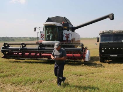 Россия в состоянии заместить украинское зерно на мировых рынках – Путин