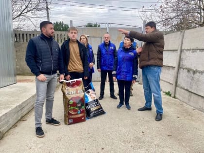 Всемирный день домашних животных: Крымские партийцы помогают бездомным собакам