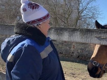 Специалистами ГБУ РК «Евпаторийский городской ВЛПЦ» проведён забор проб крови у лошадей на территории городского округа Евпатория