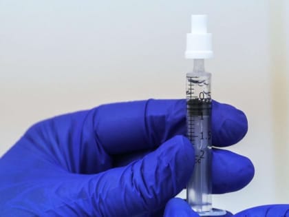 Без летальных исходов: COVID-сводка по Крыму и Севастополю