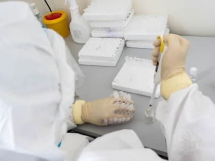 COVID-19 в Севастополе: за сутки подтвердились 14 новых случаев