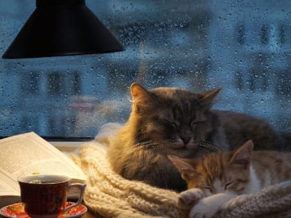 Прогноз погоды на 5 февраля: в Крыму и Севастополе дождь со снегом, небольшой ветер