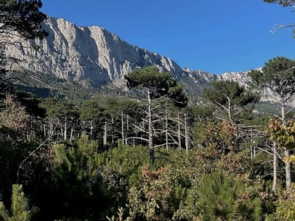 На Крещение в Крыму ожидается до 18 градусов тепла