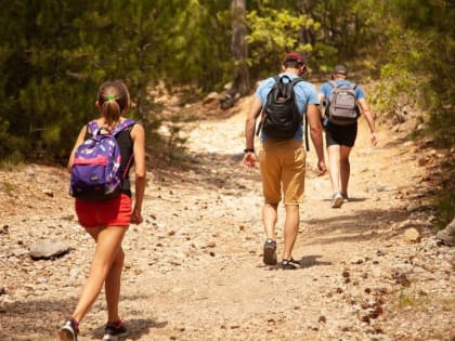 В Крыму на базе «Тавриды» создадут молодежный туристическо-просветительский кластер